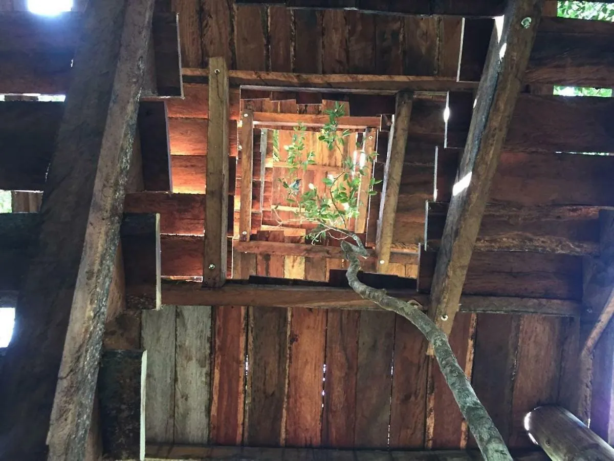 Ajal Tulum Tree House Hotel