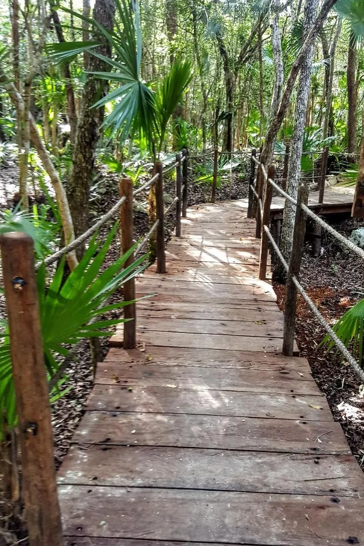 Ajal Tulum Tree House Hotel