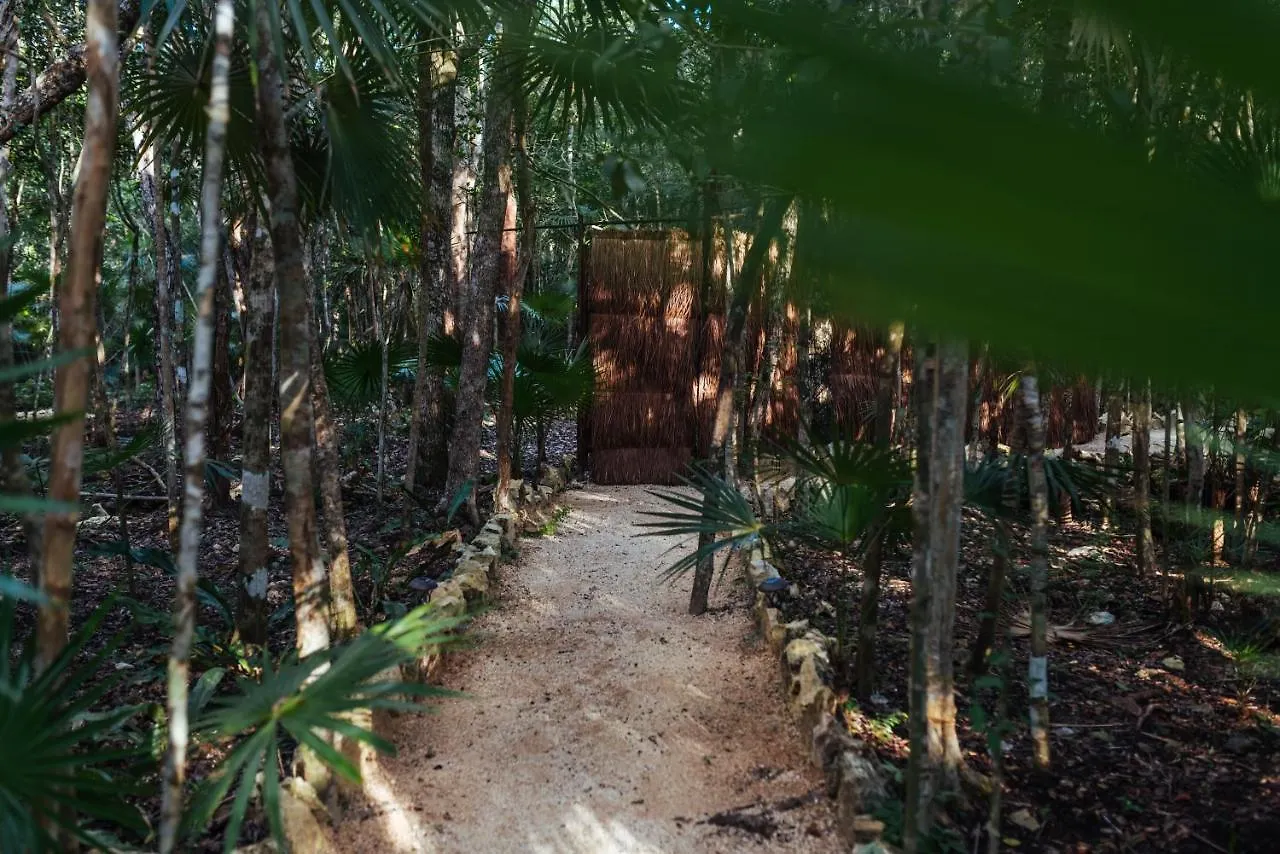 Ajal Tulum Tree House Hotel