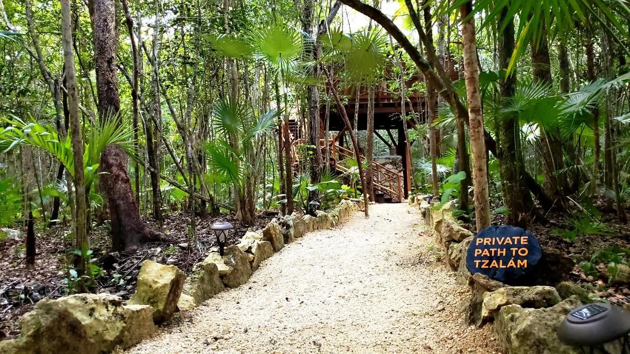 ****  Ajal Tulum Tree House Hotel Mexico