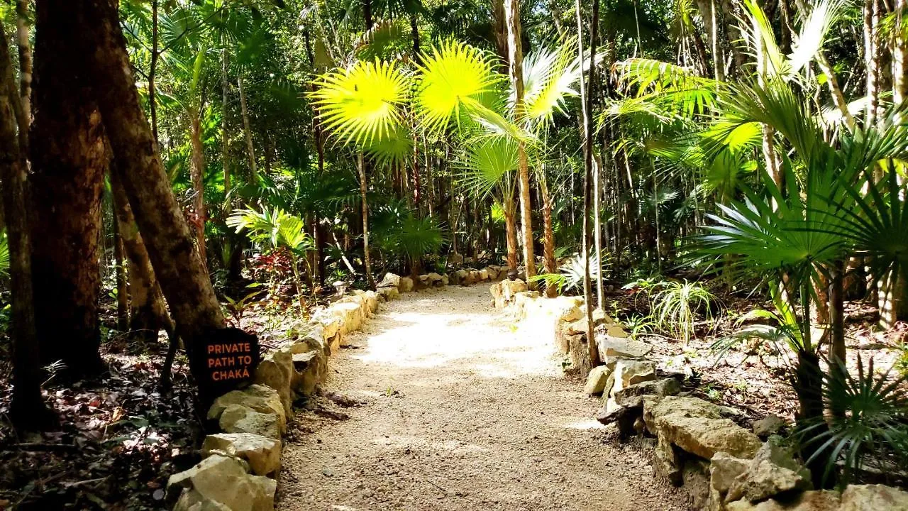 Ajal Tulum Tree House Hotel