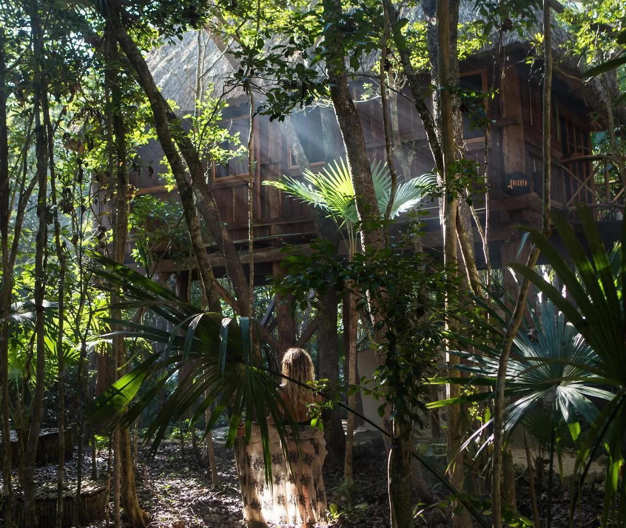 Ajal Tulum Tree House Hotel