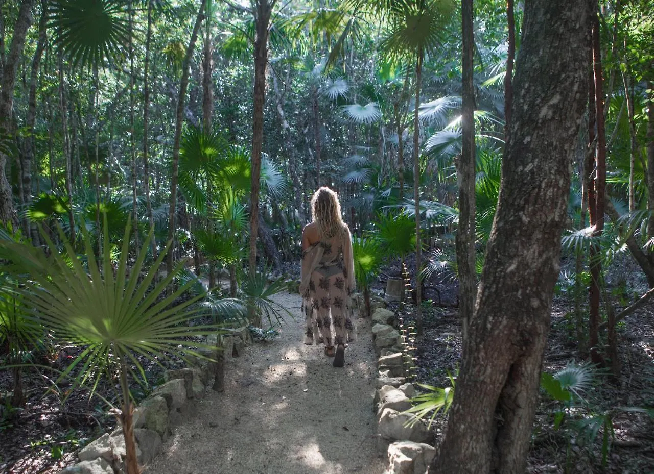 Ajal Tulum Tree House Hotel 4*,