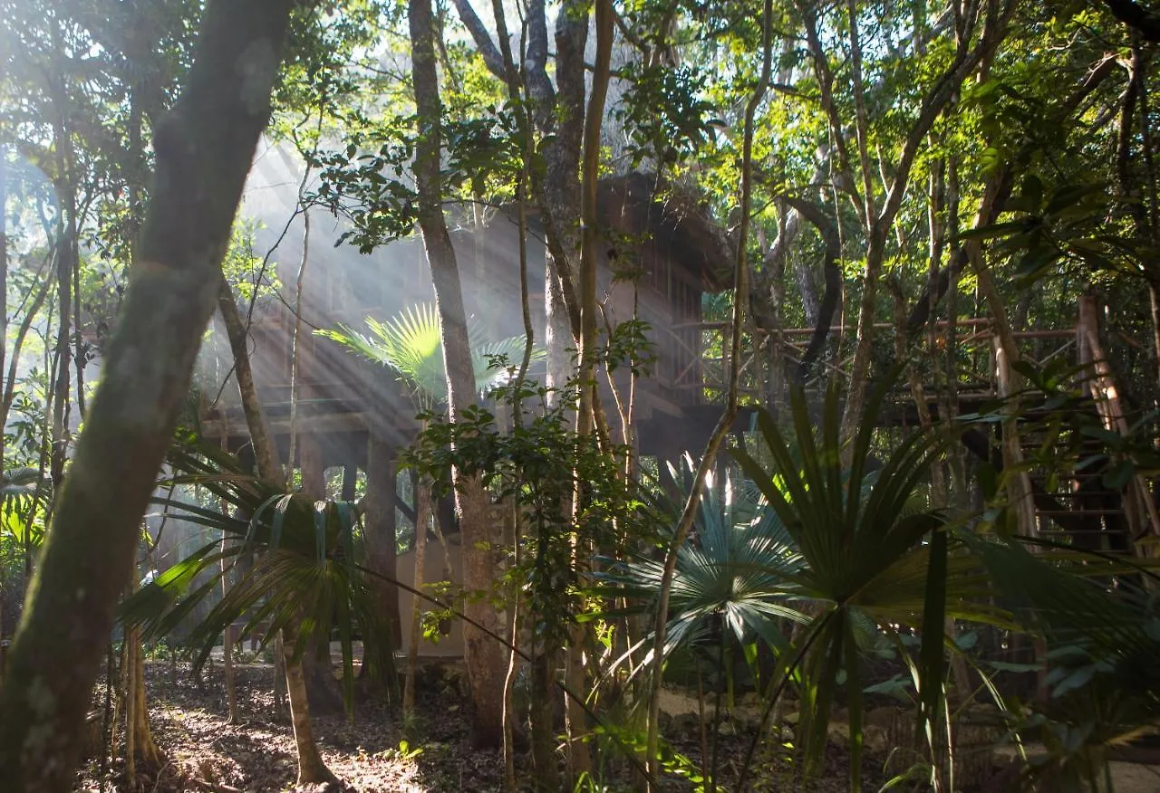 Ajal Tulum Tree House Hotel