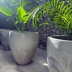 Bau Tulum