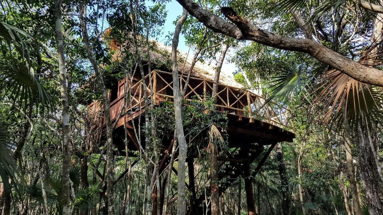 Hotel Ajal Tulum Tree House Mexiko