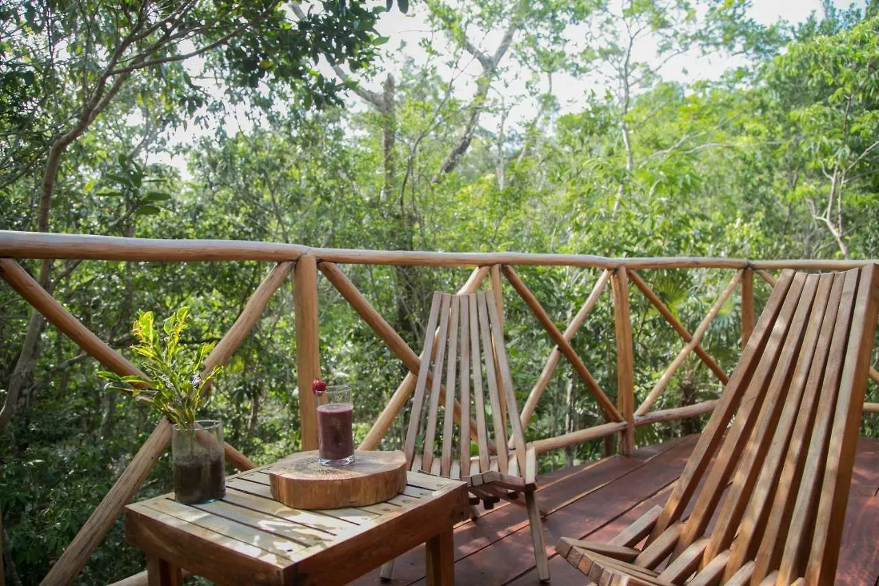 ****  Hotel Ajal Tulum Tree House Mexiko